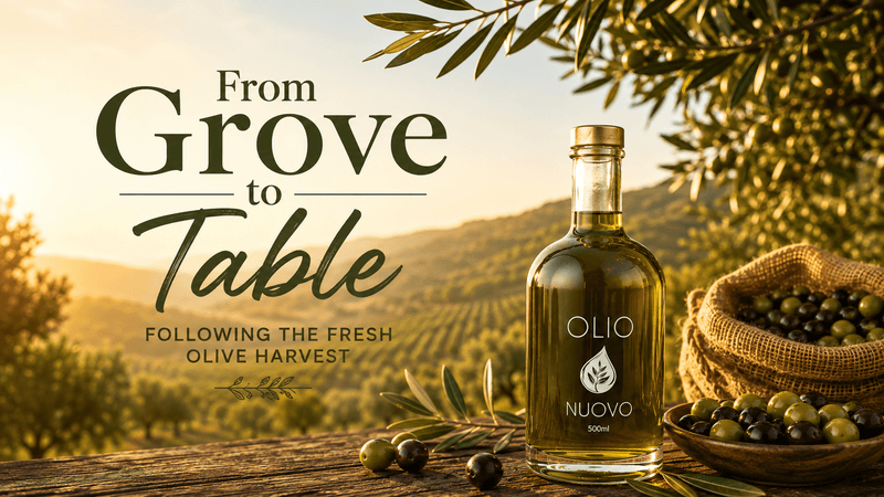 From Grove to Table: Following the Fresh Olive Harvest