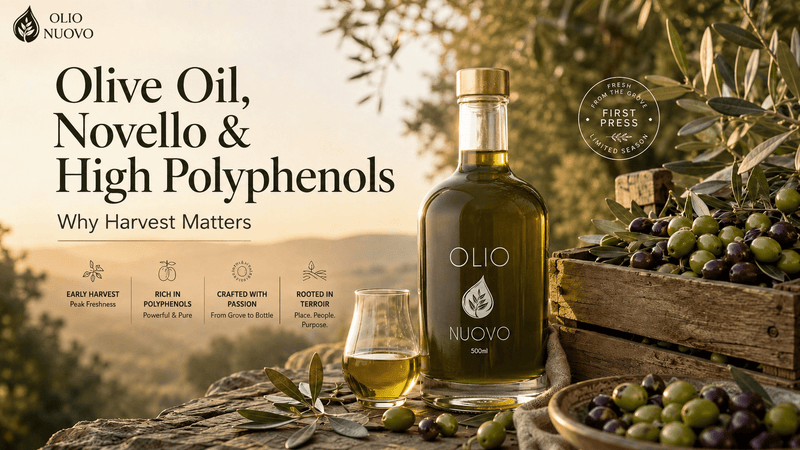 Olive Oil, Novello & High Polyphenols: Why Harvest Matters | Olio Nuovo