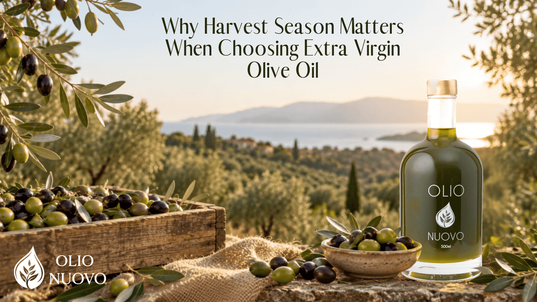 Why Harvest Season Matters for EVOO