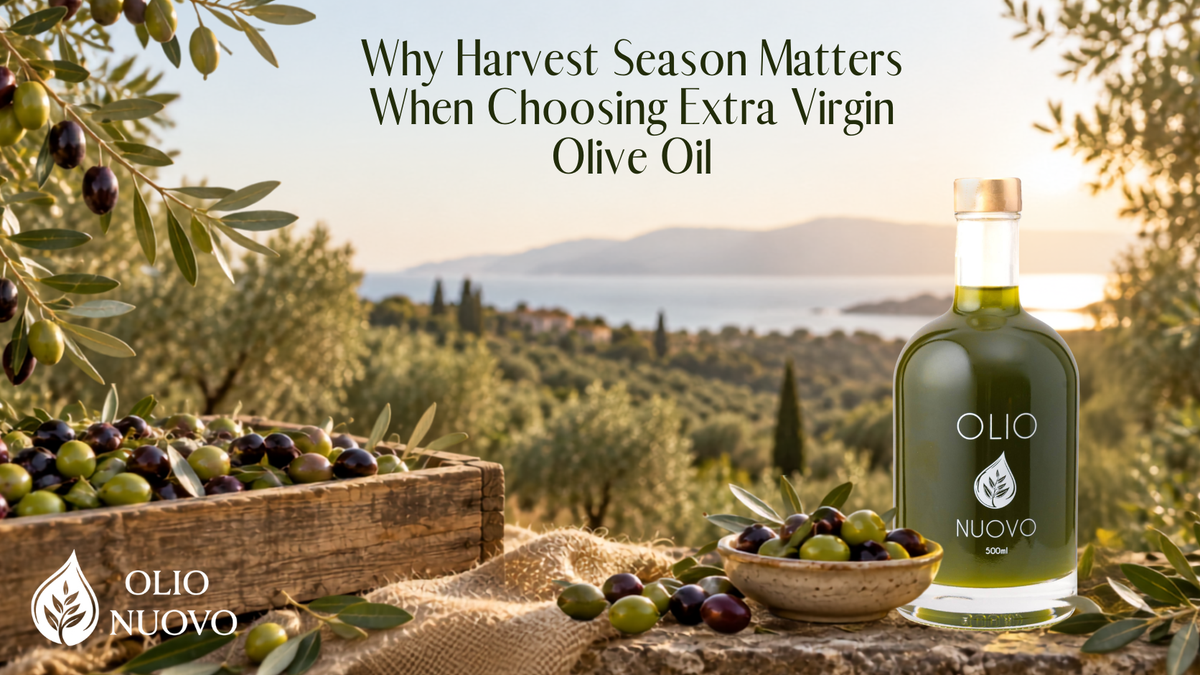 Why Harvest Season Matters for EVOO