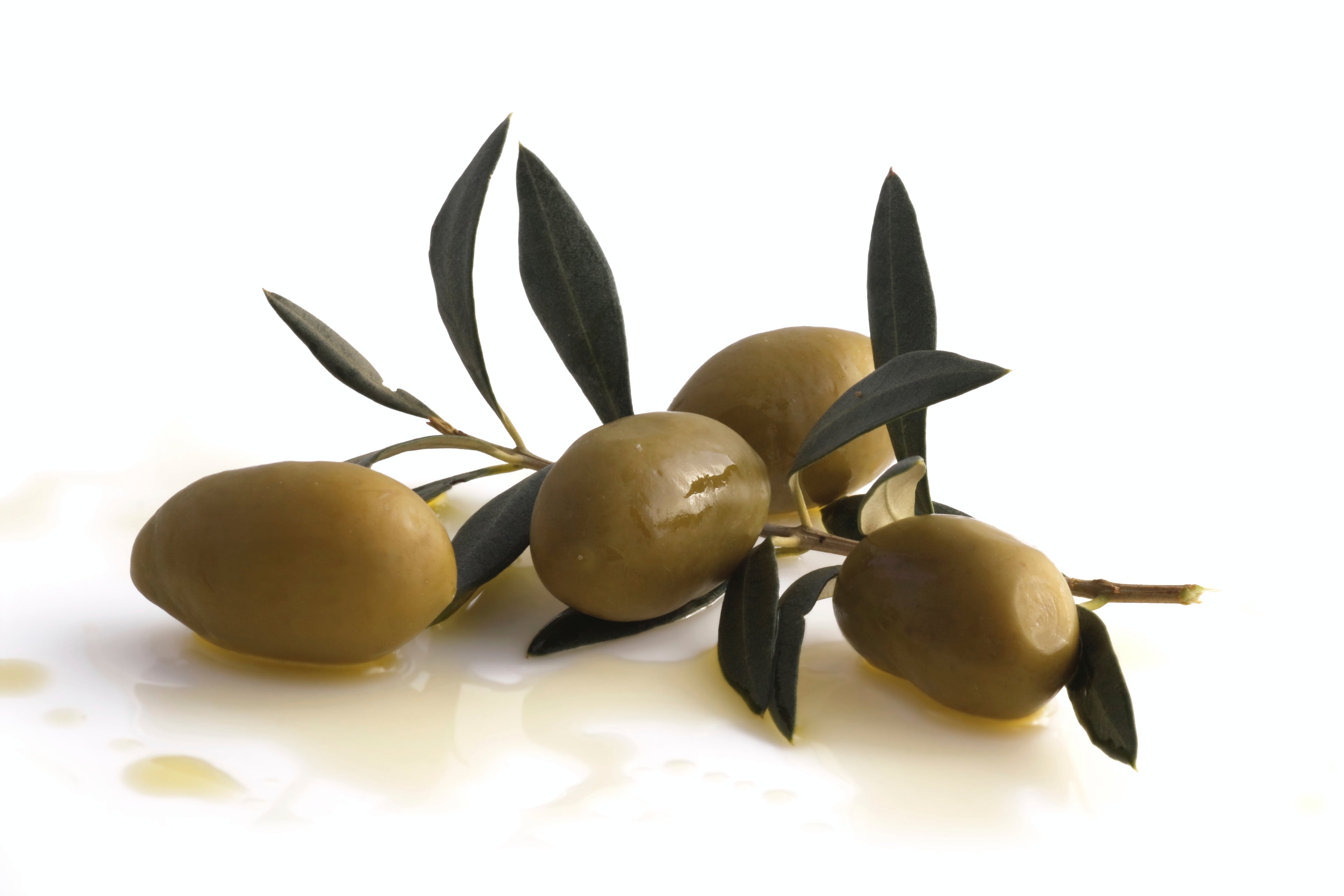 Fresh picked olives ready for cold pressing — Kyneton Olive Oil Macedon Ranges Victoria
